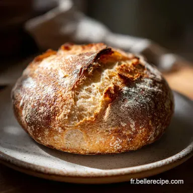 Pain Cocotte Semi-complet en 1 Heure Fiche recette