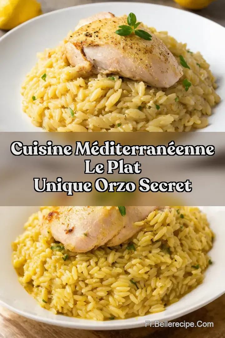 Cuisine M&eacute;diterran&eacute;enne Le Plat Unique Orzo Secret