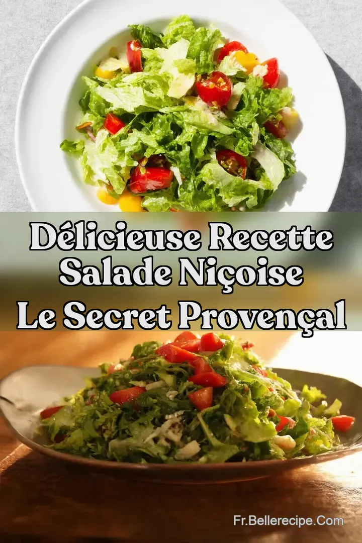 D&eacute;licieuse Recette Salade Ni&ccedil;oise Le Secret Proven&ccedil;al