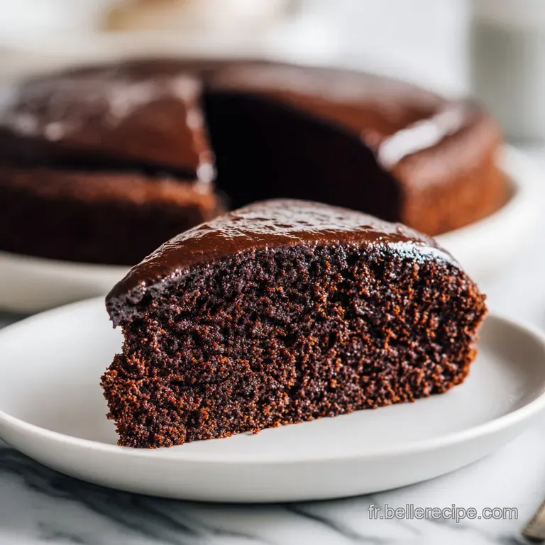 Recette G&acirc;teau Chocolat Facile et Moelleux