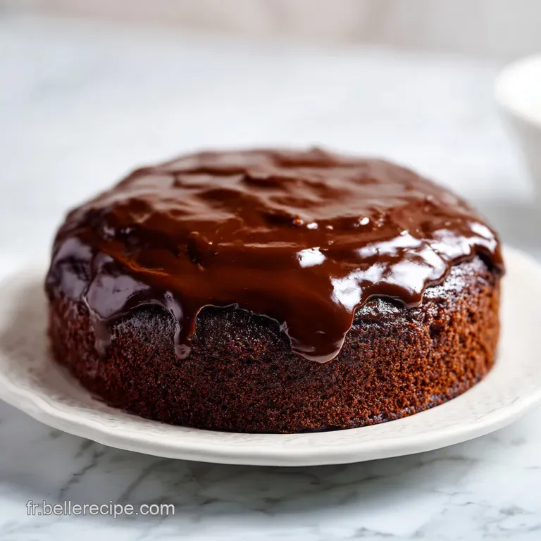 A generous slice of dark chocolate cake, its moist crumb exposed, topped with a swirl of whipped cream and a single raspbe...